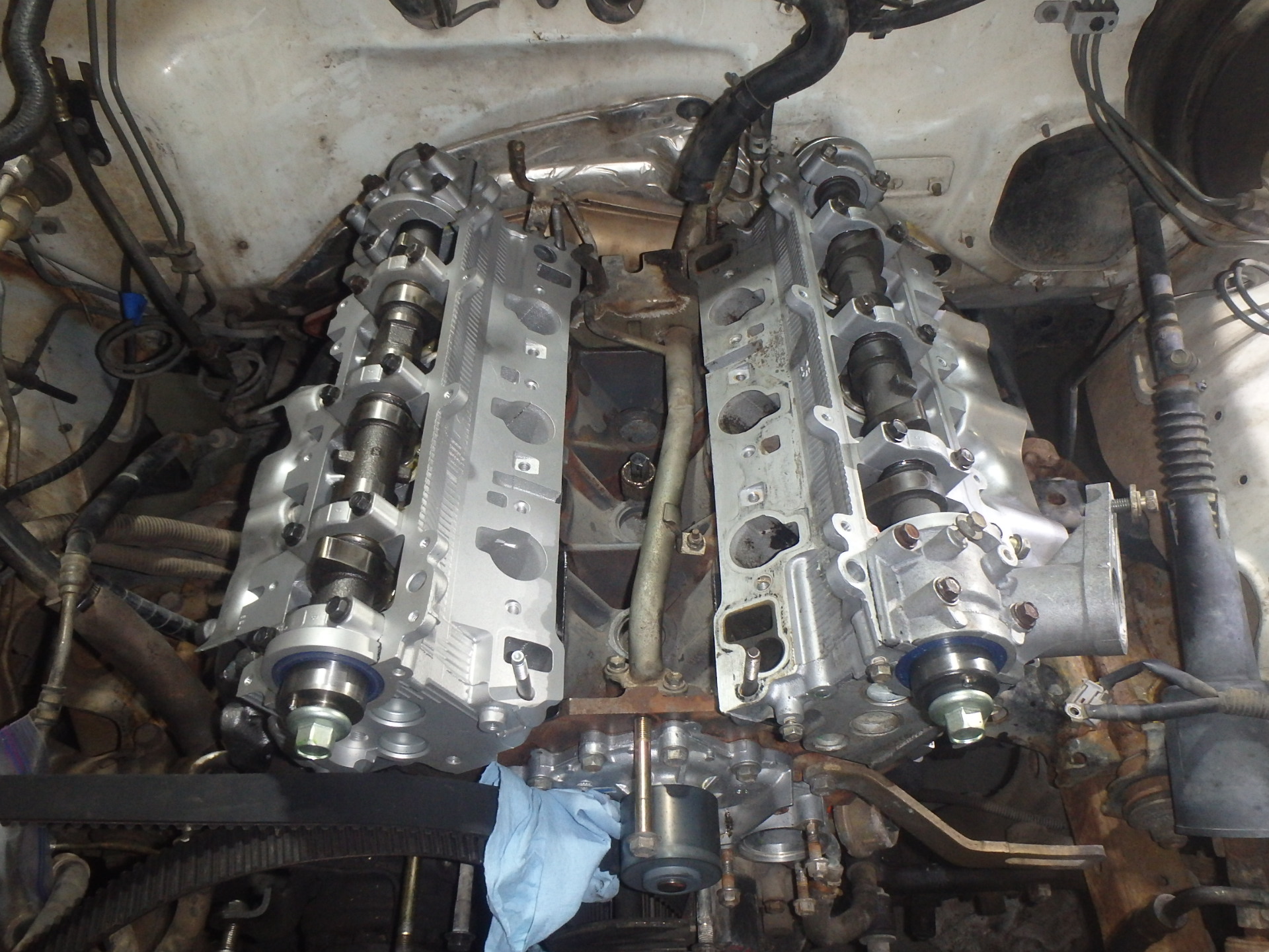 New heads